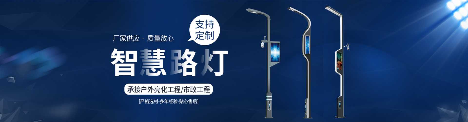 池州市太阳能路灯定制厂家